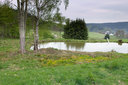 Hochstand am Teich