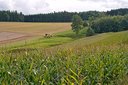 Landwirtschaft