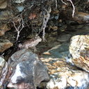 DSCF2182dt.jpg