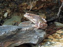 DSCF2187dt.jpg