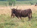 DSCF2261dt.jpg