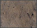 EM5B1008dt.jpg