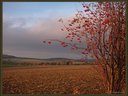 EM5B2692dt.jpg : 262 Kb EM5B2692dt.jpg