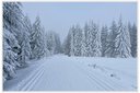XT2D1422dt.jpg