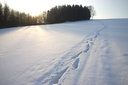 IMG_4562.jpg