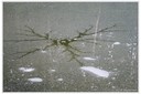 DSCF2499dt.jpg